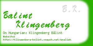 balint klingenberg business card